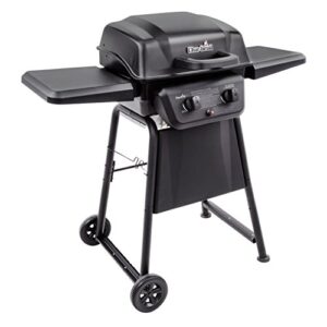 Best 2 Burner Gas Grill