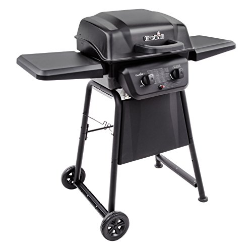 Best 2 Burner Propane Grill