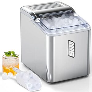 Best Buy Nugget Ice Maker