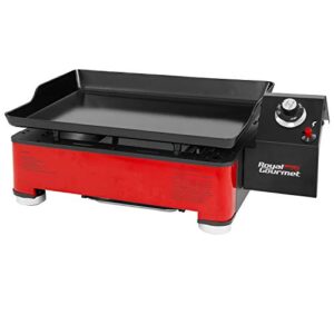 Best Portable Gas Grill For Camping