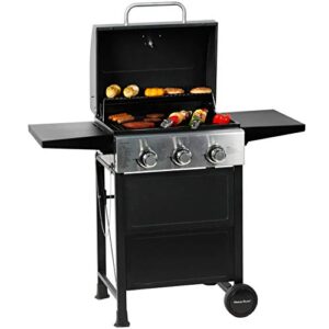 Best Small Gas Grill