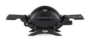 Best Small Portable Gas Grill