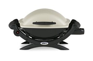 Best Weber Propane Grill