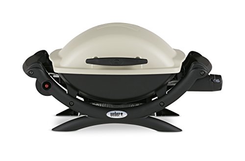Best Weber Propane Grill