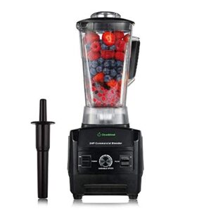Best High Powered Blenders