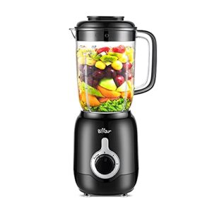 Best Ice Crushing Blender Under 100
