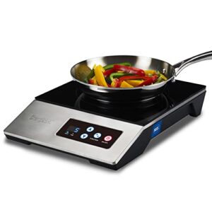 Best Commercial Induction Cooktop