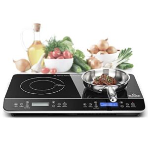 Best High End Induction Cooktop