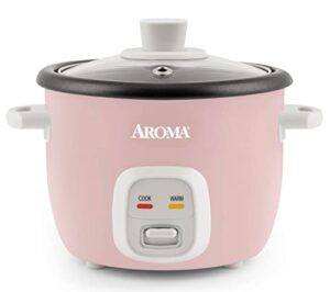 Best Mini Rice Cooker