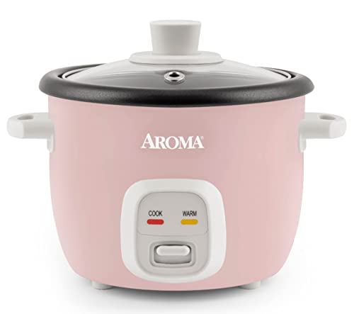 Best Mini Rice Cooker