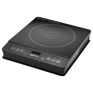 Best Portable Induction Cooktop