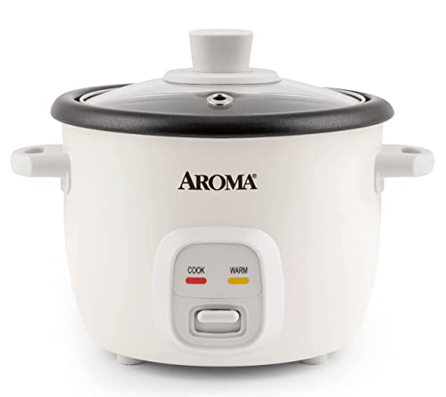 Best Rice Cookers Under 100