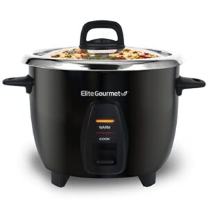 Best Stainless Steel Rice Cooker